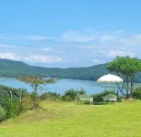 Goheung Bityeoul Pension - Homestays