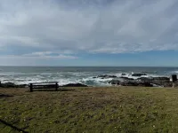 NEW LISTING! Fantasea! Enjoy dramatic crashing waves, fireplace, dog friendly! - Wifi