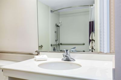 King Room with Roll-In Shower - Mobility/Hearing Accessible - Non-Smoking