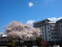 Minami Sanriku Hotel Kanyo