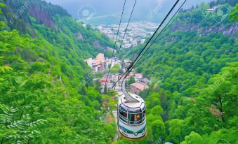 Holiday Borjomi