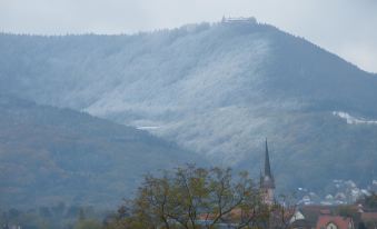 Studio 1 - Location de Vacances Obernai