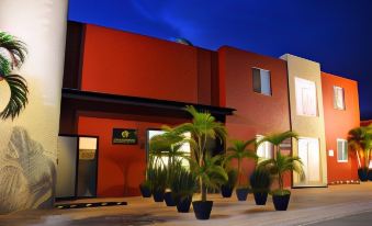 Hostal Gayser