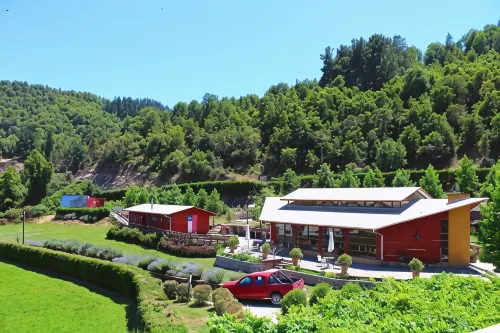 Achibueno Lodge - Homestay