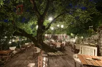 Vikos Hotel Hotels in Monodendri