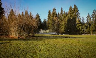 Berger's Bergsicht by edita