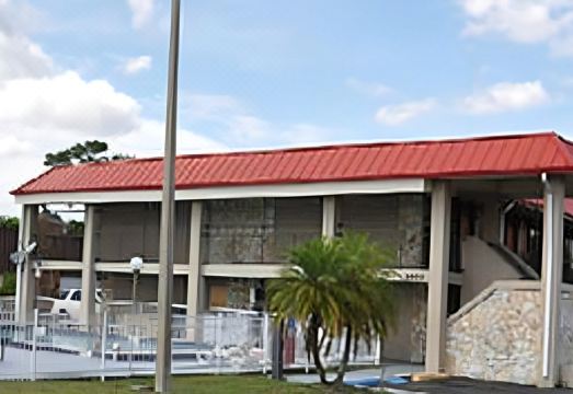 6. 폴리네시안 인..