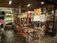 Tirimbina Rainforest Lodge Hôtels à : Sarapiquí