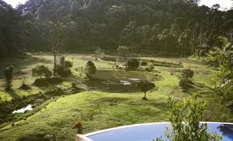 Three Hills Resort Coorg