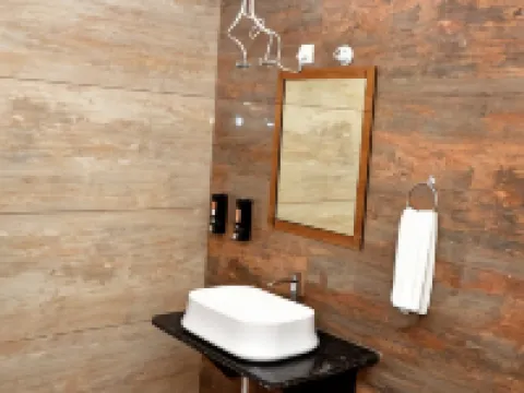Hotel the Grand Hotels in Dausa