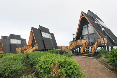 Nimo Tea Resort