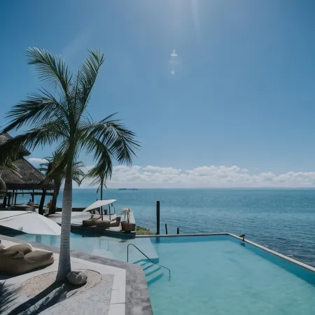 Orchid House Baja