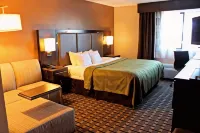 Quality Inn & Suites Detroit Metro Airport Hotels in Taylor