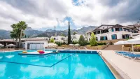 The Olive Tree Hotel - Pools