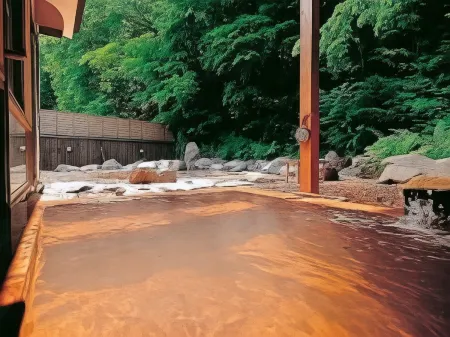 Ainori Отели в г. Хиракава