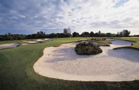 Quality Suites DOlive Отели рядом с достопримечательностью «St Vincent's Private Hospital Werribee»