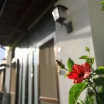 민수쿠 우라시마