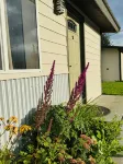 The Pioneer Motel Hotels in 