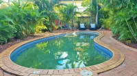 Coconut Grove Holiday Apartments - piscina