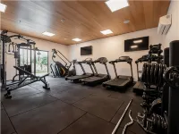 Ibis Styles Maragogi - O Primeiro Ibis Styles pé na Areia do Brasil - Gym