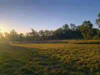 Wake with the Kangaroos: Sunrise Cabin Escape in Mudgee - บังกะโล