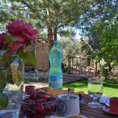 "La Dolce Vita" Comfortable holiday residence Hotel Exterior