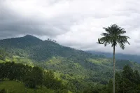 Hospedaje Camino Real