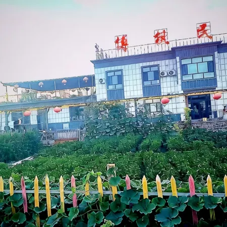 Bofeng Homestay (Bohu)