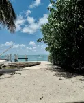 Gulf Views, Scenic Elevated Sundeck, Heated Shared Pool, Boat Dock Availability - 3-نجوم
