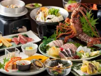Tosaryu Onsen Sanyoso Hotels in 