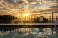 Charming 1-bedroom, beachfront condo in marvelous Longboat Key - Pools