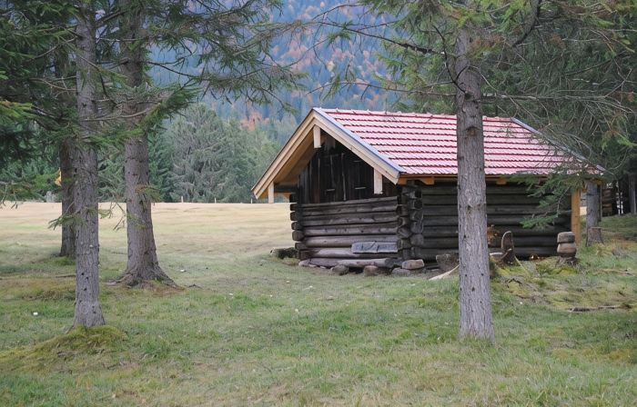 Comfortable large apartments, centrally located, surrounded by nature, friendly