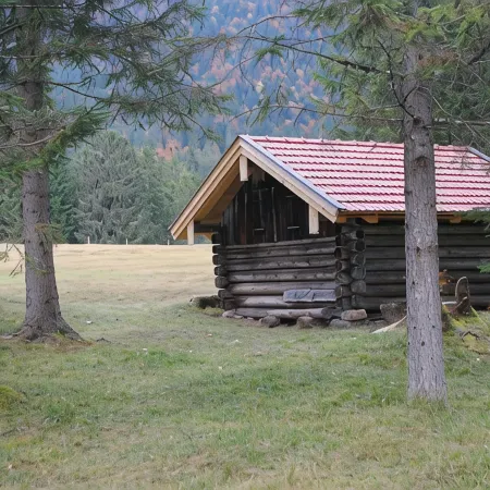 Comfortable large apartments, centrally located, surrounded by nature, friendly