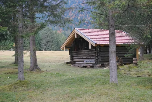 Comfortable large apartments, centrally located, surrounded by nature, friendly - 3つ星