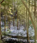 Larger Home in Tiny Home Lake & Community-Retreat at Water's Edge - Wifi