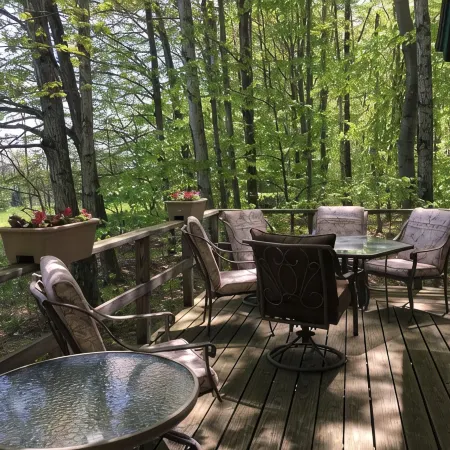 Peace And Tranquility Setting In The Woods!