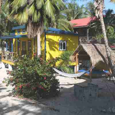 Gumbo Limbo Art Cabana - Stunning Peaceful Cabana, Steps From Ocean, Free Bikes Hotel Exterior