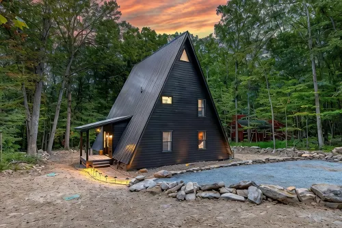 Nature's Haven: Frog Hollow by Stay with Branch