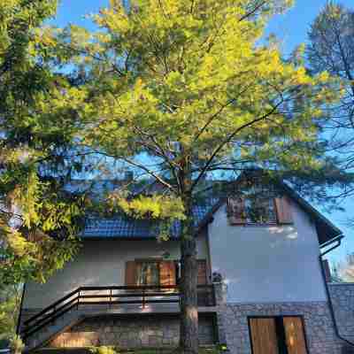 Anemona House - Plitvice Lakes - 500 m from Big Waterfall Hotel Exterior