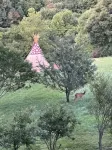 Tipi Tranquility-Glamping at it's best