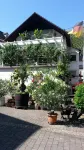 Hiking in the Middle Rhine - Apartments