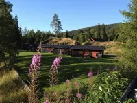 Trysil Hyttegrend Hotels in Trysil