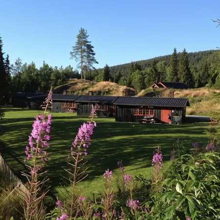 Trysil Hyttegrend