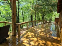 Private mountain cabin surrounded by Nat'l Forest! Visit wineries, hike the AT!