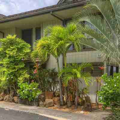 PRIVATE Ocean Front Cottage Over Looking Beautiful Kalapaki Bay Hotel Exterior