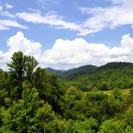 Deer Country Vacation Cabins #4 - Long Range View, Dogs Friendly