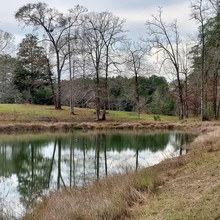 Great get a way--8 acres and pond, firepit peace and quiet