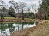 Great get a way--8 acres and pond, firepit peace and quiet - Wi-Fi