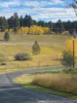 Rustic Small Cabin in the Black Hills of Wy. Snowmobile right out the drive! - WiFi
