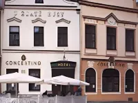 Hotel Concertino Zlatá Husa - Parkplatz